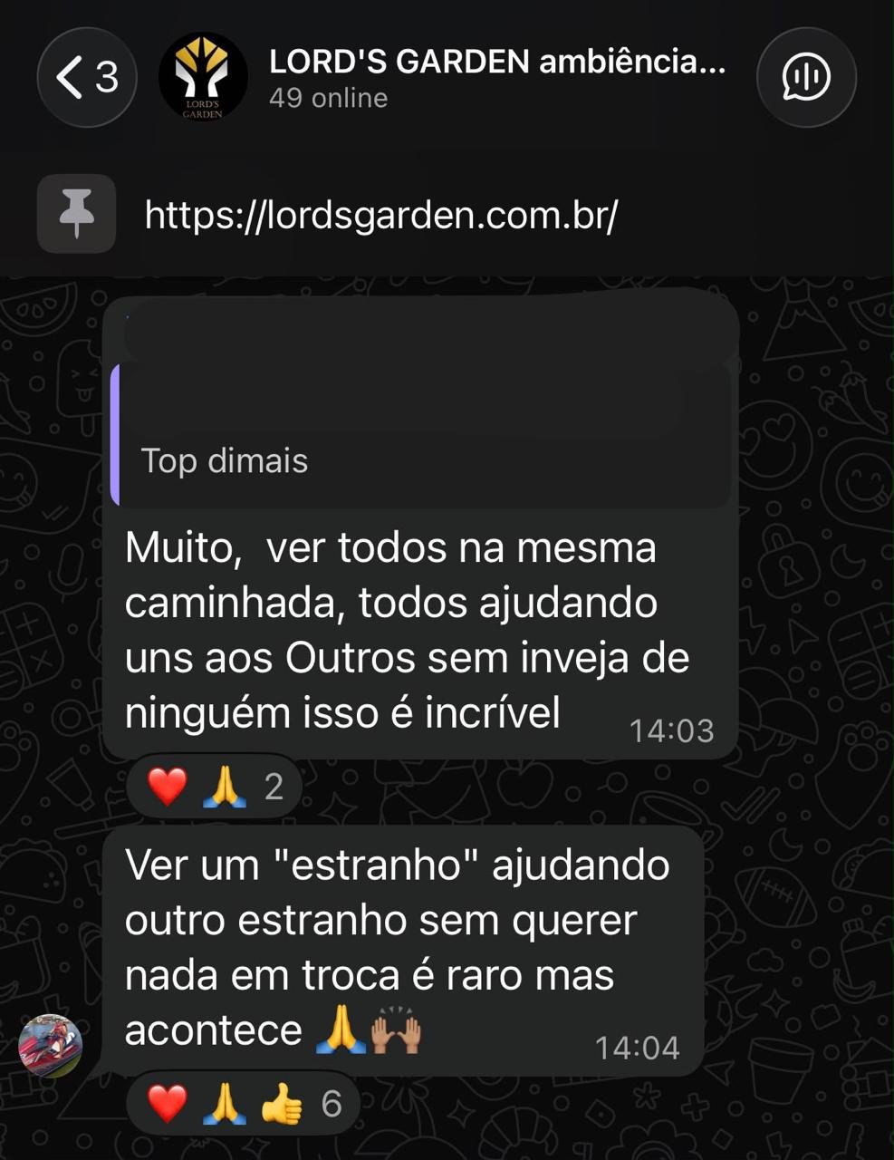 Depoimento de aluno Lord's Garden no WhatsApp